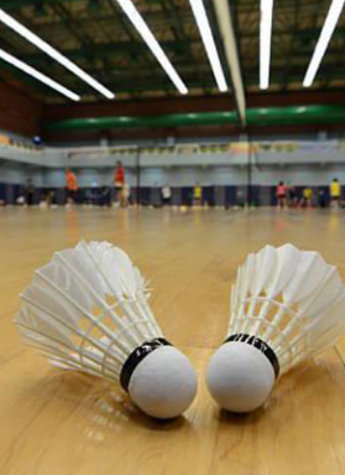 Badminton Court Flooring